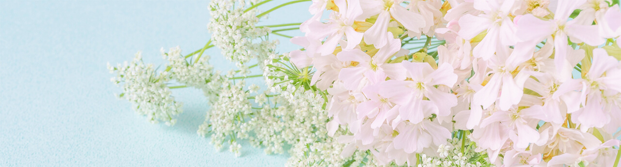 白とピンクの花の写真